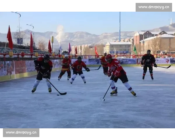 激情碰撞冰面争锋 冰球赛场精彩瞬间全记录 - 副本 - 副本 (2)